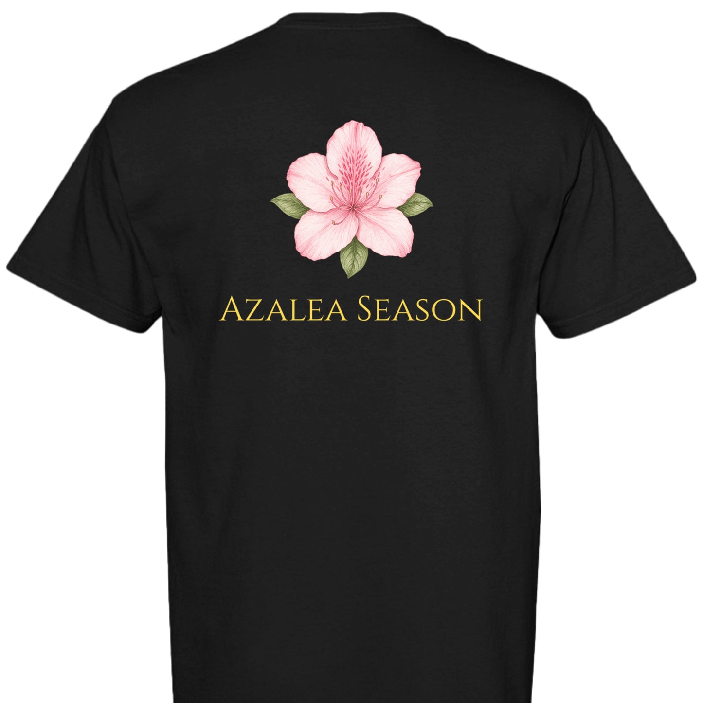 BLACK - C1717 - BACK