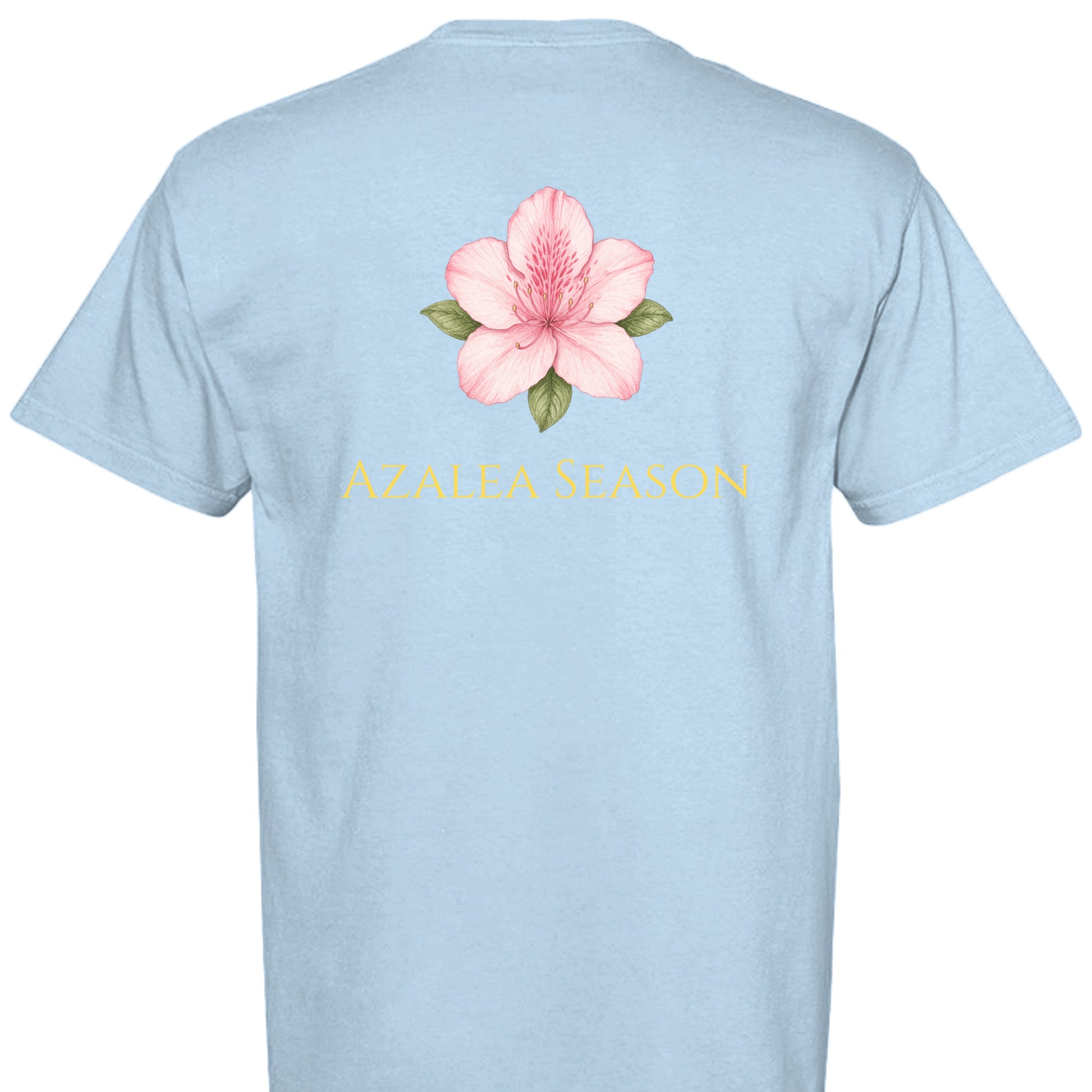 Hydrangea - C1717 - BACK